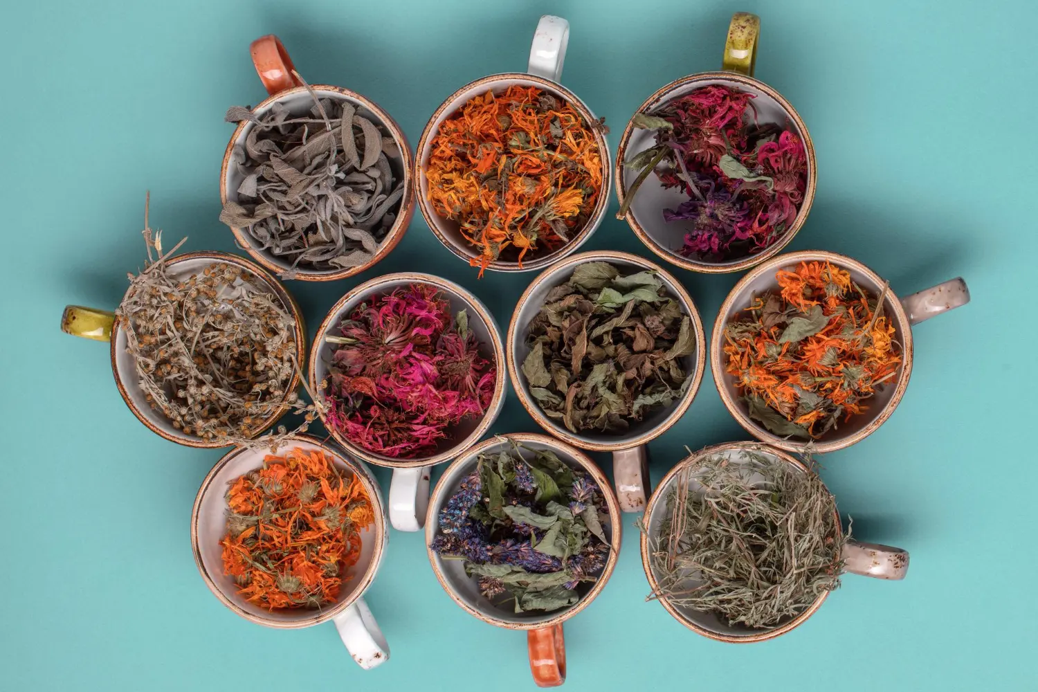 Natural Herbs for Nerve Regeneration: Simple Remedies for Nerve Health