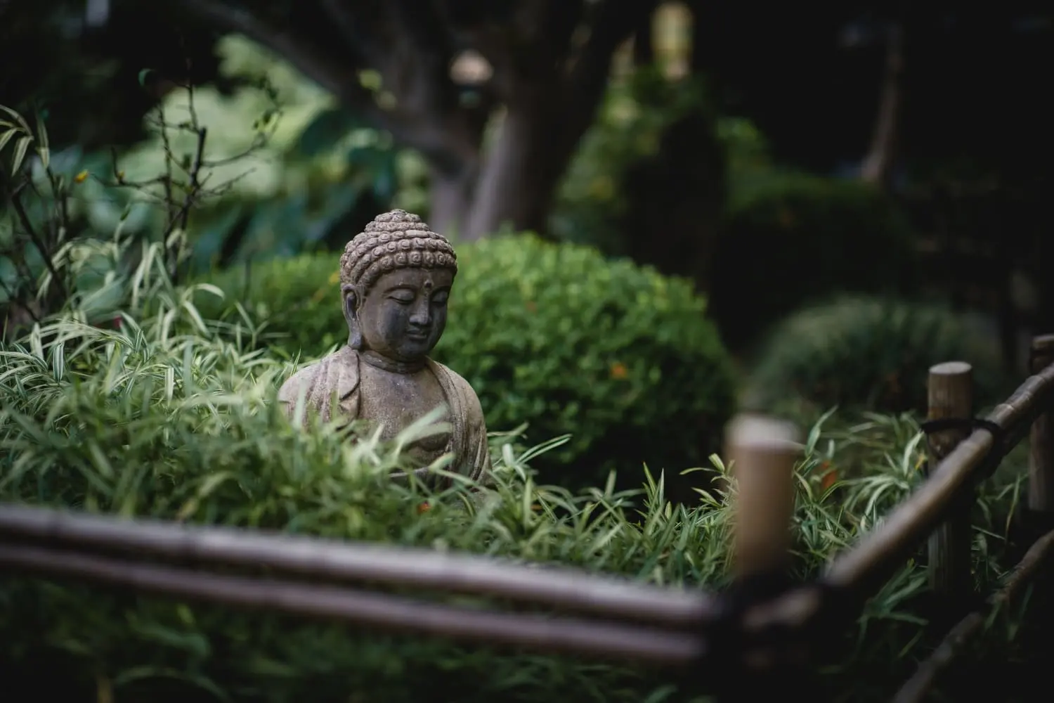 How to Build a Meditation Garden That Soothes the Mind