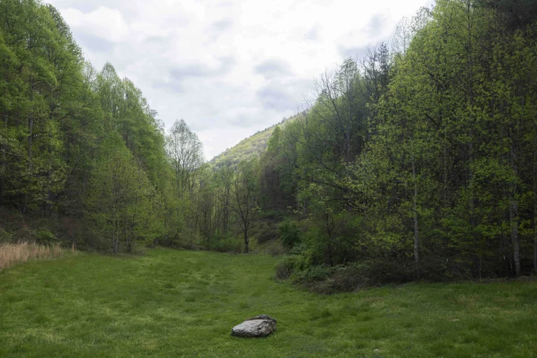 Lawn access