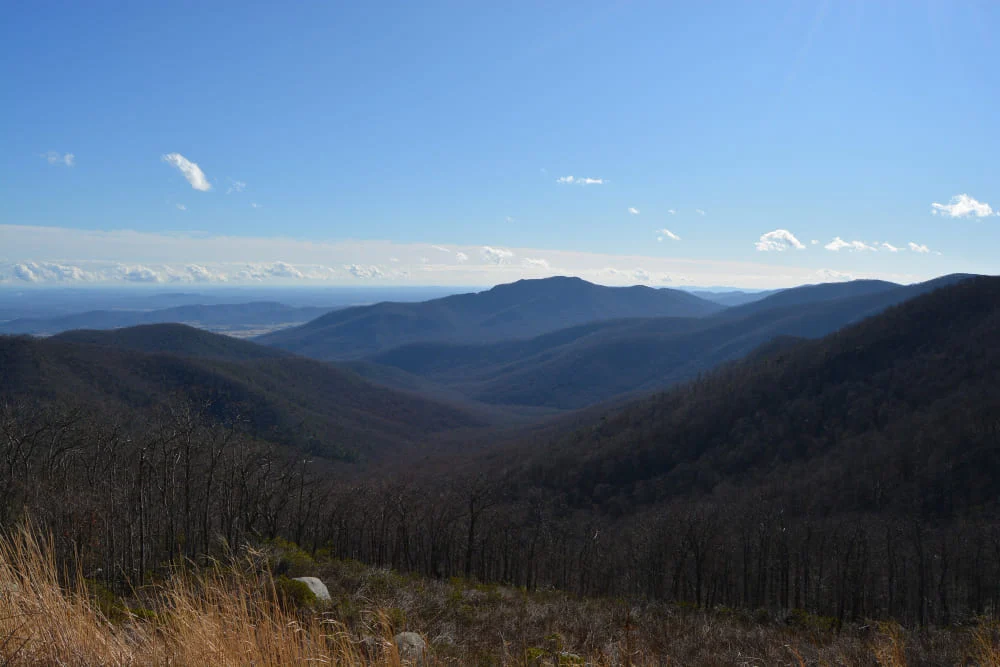 Max Patch Mountain: Your Next Hiking Adventure