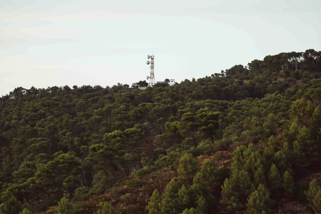 Hike to the Rich Mountain Fire Tower