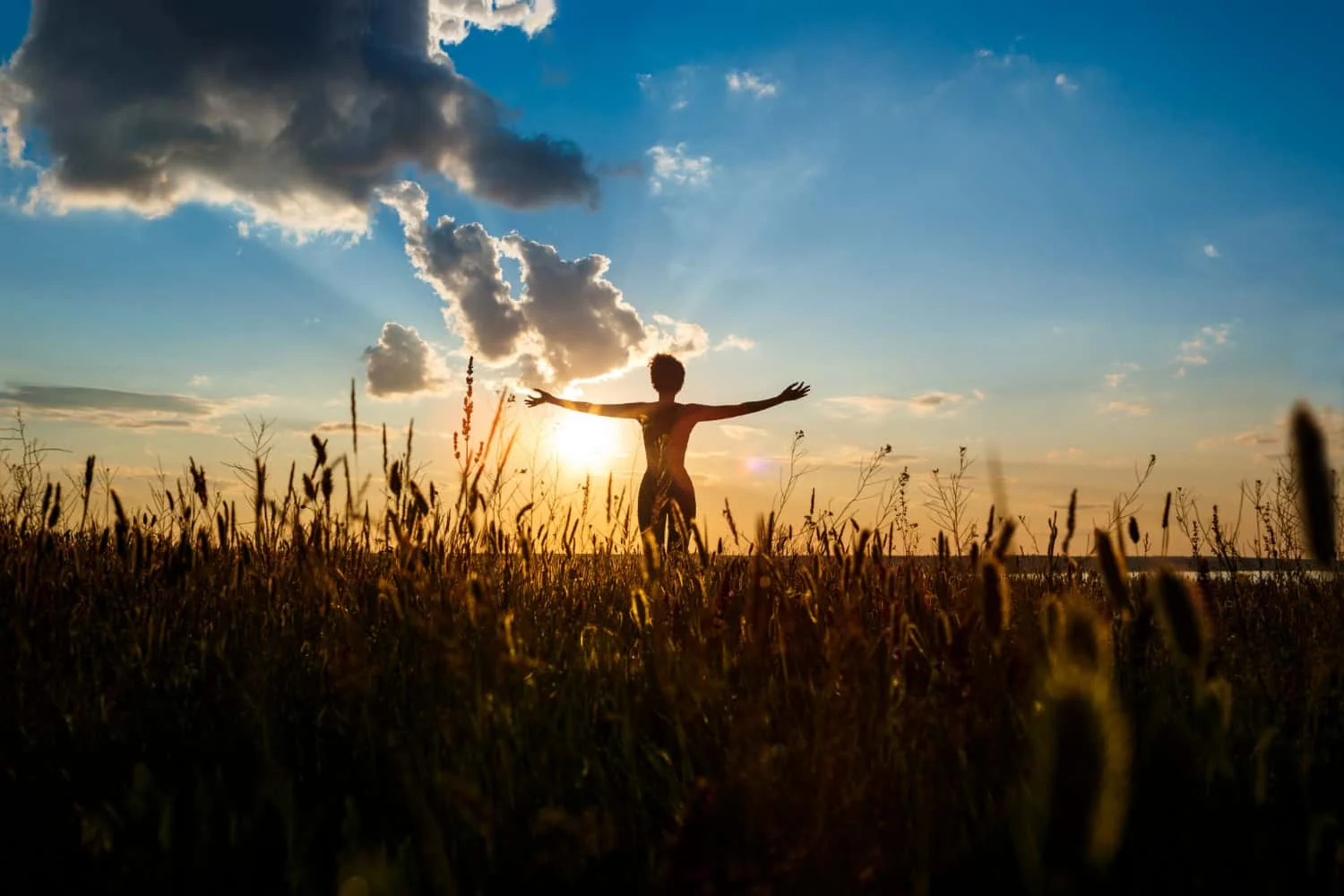 The Art of Doing Nothing: Finding Harmony in Stillness - Wheel Of Bliss