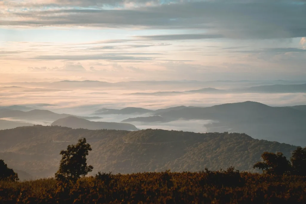 A Guide to Hiking Black Balsam Knob